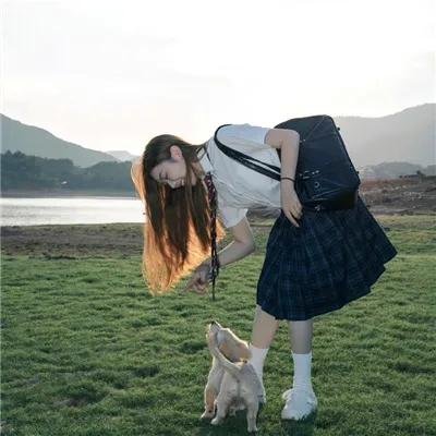 水龙吟